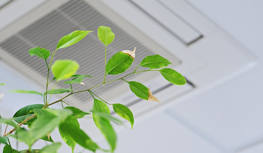 Medici&oacute;n de la calidad de aire en interiores y espacios cuidados